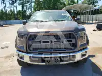 2015 Ford F-150 photo