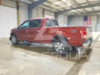 2015 Ford F-150 photo