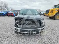 2015 Ford F-150 фото