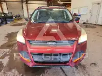 2015 Ford ESCAPE фото