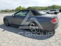 2015 Ford MUSTANG photo