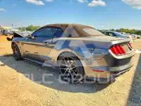 2015 Ford MUSTANG photo