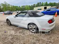 2015 Ford MUSTANG photo