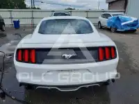 2015 Ford MUSTANG photo