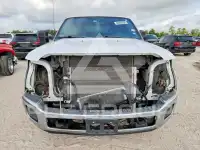 2015 Ford F-250 photo