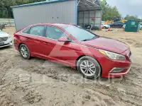 2015 Hyundai Sonata фото