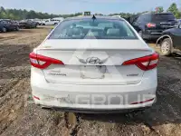 2015 Hyundai Sonata фото