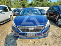 2015 Hyundai Sonata фото