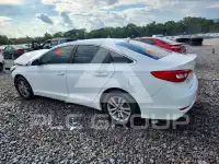 2015 Hyundai Sonata фото