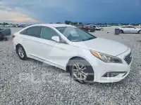 2015 Hyundai Sonata фото