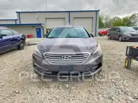 2015 Hyundai Sonata фото