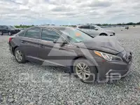 2015 Hyundai Sonata фото