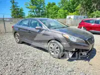 2015 Hyundai Sonata фото