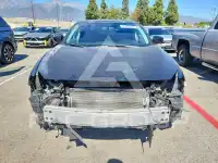 2016 Nissan MAXIMA photo