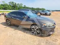 2016 Nissan MAXIMA photo