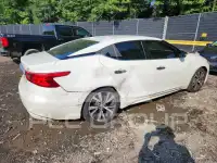 2016 Nissan MAXIMA photo