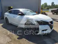 2016 Nissan MAXIMA photo