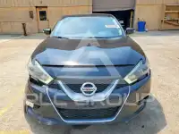 2016 Nissan MAXIMA photo