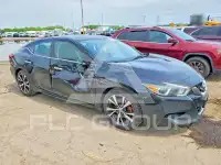 2016 Nissan MAXIMA photo