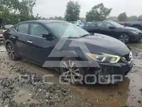 2016 Nissan MAXIMA photo