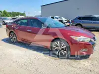 2016 Nissan MAXIMA photo