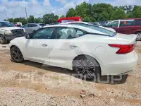 2016 Nissan MAXIMA photo