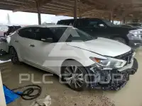 2016 Nissan MAXIMA photo