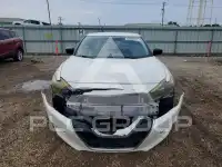 2016 Nissan MAXIMA фото