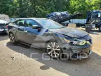 2016 Nissan MAXIMA photo