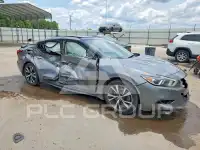 2016 Nissan MAXIMA photo