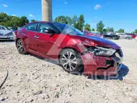 2016 Nissan MAXIMA photo
