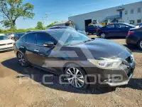 2016 Nissan MAXIMA фото