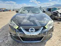 2016 Nissan MAXIMA фото
