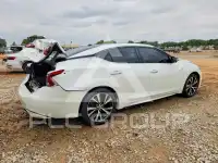 2016 Nissan MAXIMA photo