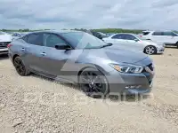 2016 Nissan MAXIMA photo