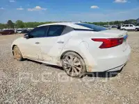 2016 Nissan MAXIMA photo