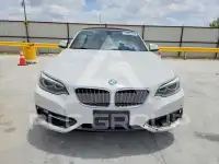 2016 BMW 228 photo