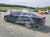 2016 Jaguar XJ фото