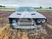 2016 Dodge CHALLENGER фото