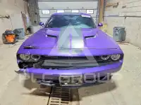 2016 Dodge CHALLENGER photo