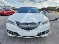 2016 Acura TLX photo