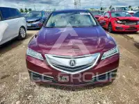 2016 Acura TLX photo