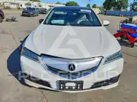 2016 Acura TLX фото