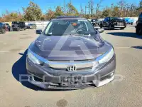 2016 Honda CIVIC фото