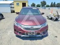 2016 Honda Accord photo