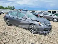 2016 Honda Accord photo