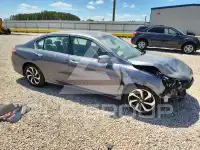 2016 Honda Accord photo