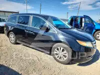 2016 Honda ODYSSEY фото