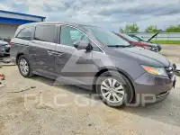 2016 Honda ODYSSEY фото