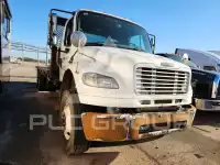 2016 Freightliner All Other фото